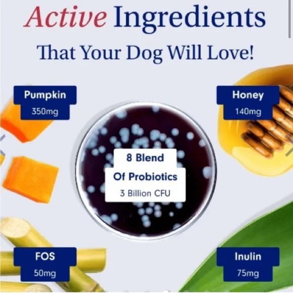𝅺🔥HP🔥 PETLABCO. PROBIOTIC CHEWS - Picture 6 of 13